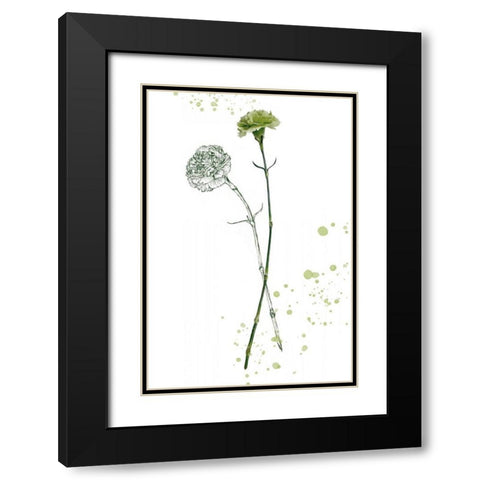 Botany Flower III Black Modern Wood Framed Art Print with Double Matting by Wang, Melissa