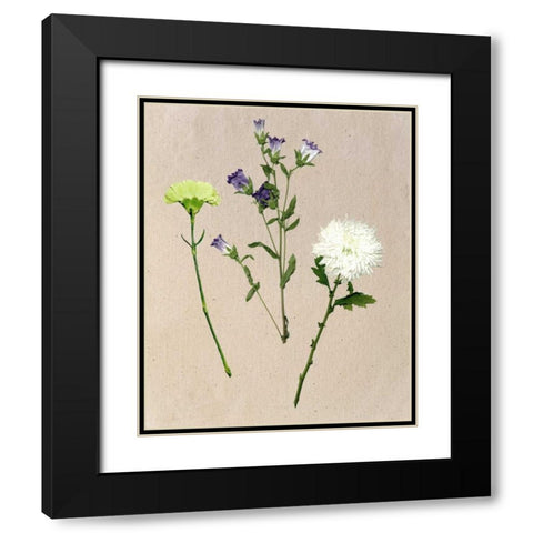 Pretty Pressed Flowers I Black Modern Wood Framed Art Print with Double Matting by Wang, Melissa