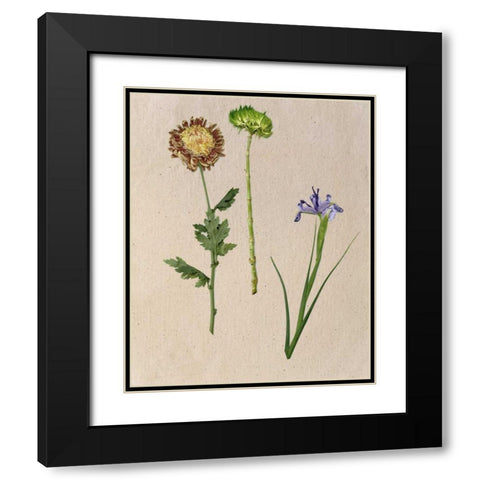Pretty Pressed Flowers III Black Modern Wood Framed Art Print with Double Matting by Wang, Melissa
