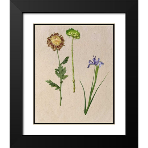 Pretty Pressed Flowers III Black Modern Wood Framed Art Print with Double Matting by Wang, Melissa