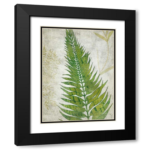 Frond II Black Modern Wood Framed Art Print with Double Matting by Zarris, Chariklia