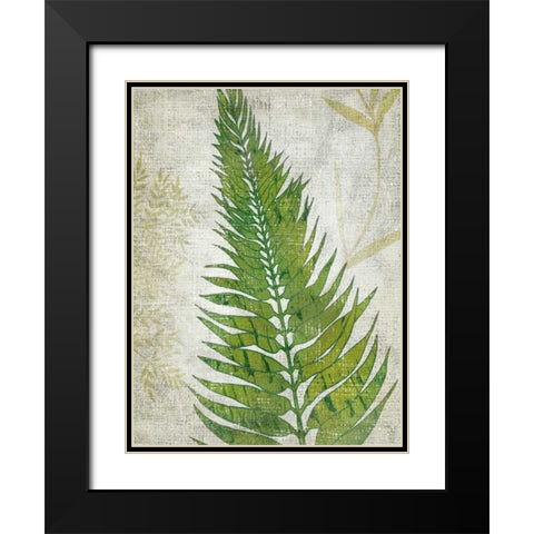 Frond II Black Modern Wood Framed Art Print with Double Matting by Zarris, Chariklia