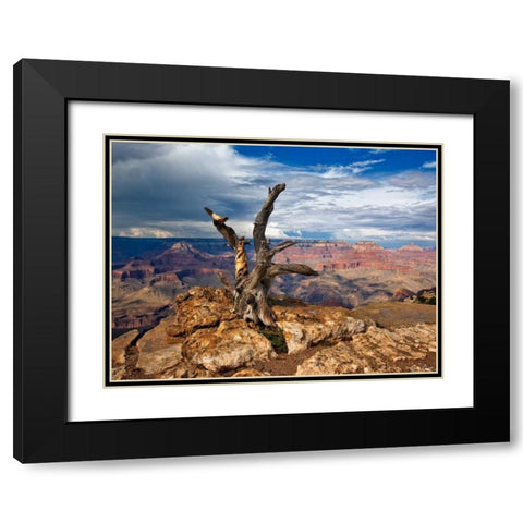 Canyon View V Black Modern Wood Framed Art Print with Double Matting by Drost, David