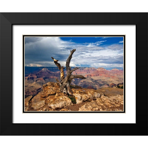 Canyon View V Black Modern Wood Framed Art Print with Double Matting by Drost, David