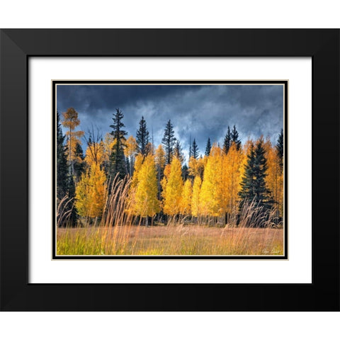 Through the Yellow Trees I Black Modern Wood Framed Art Print with Double Matting by Drost, David