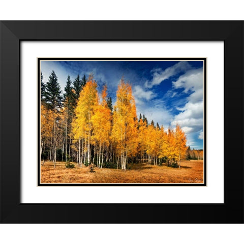 Through the Yellow Trees II Black Modern Wood Framed Art Print with Double Matting by Drost, David