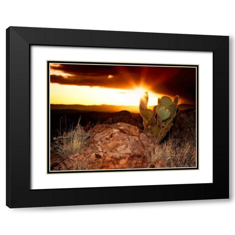 Sunset in the Desert V Black Modern Wood Framed Art Print with Double Matting by Drost, David