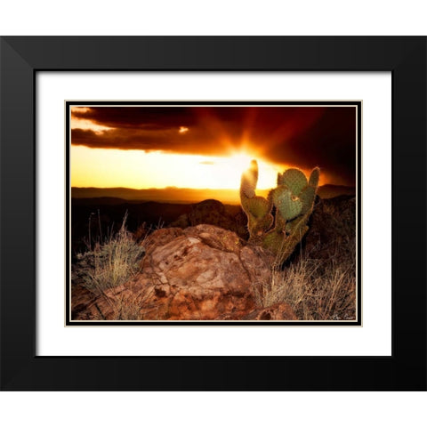 Sunset in the Desert V Black Modern Wood Framed Art Print with Double Matting by Drost, David