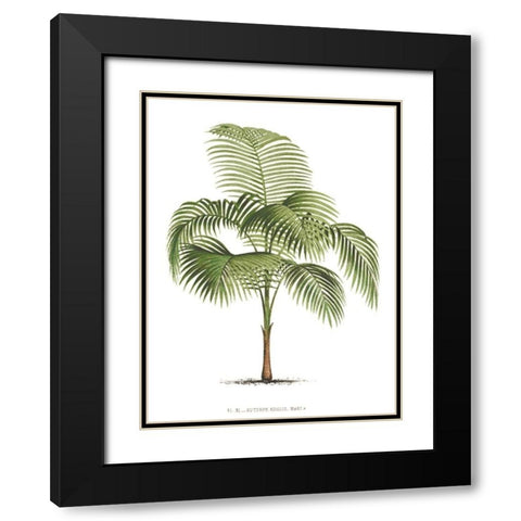 Custom Les Palmiers on White I Black Modern Wood Framed Art Print with Double Matting by Unknown