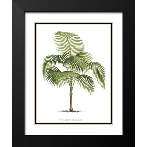 Custom Les Palmiers on White I Black Modern Wood Framed Art Print with Double Matting by Unknown