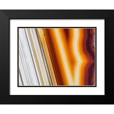 Level II Black Modern Wood Framed Art Print with Double Matting by Hartson-Weddle, Ryan