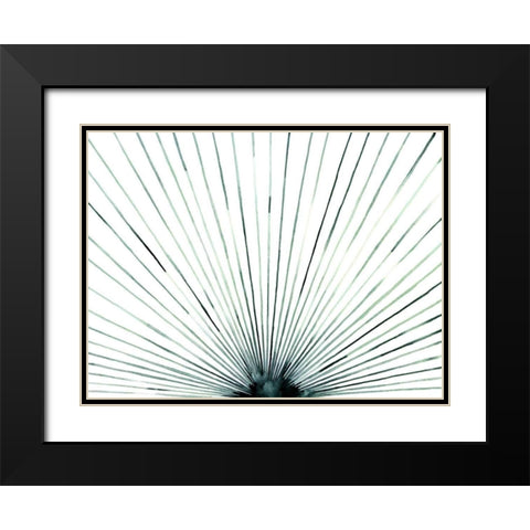 Strobe I Black Modern Wood Framed Art Print with Double Matting by Popp, Grace