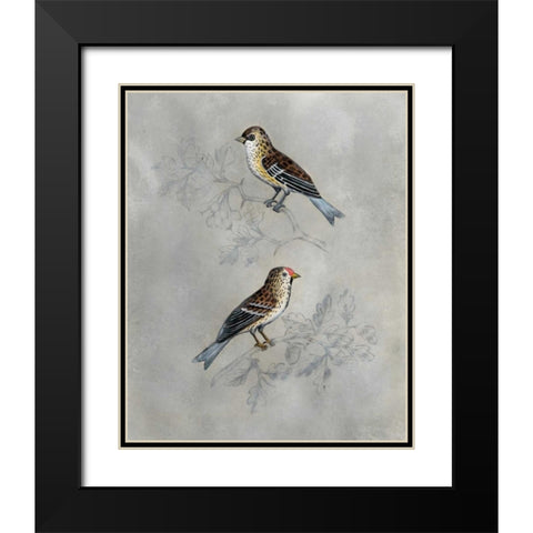 Silvered Aviary II Black Modern Wood Framed Art Print with Double Matting by McCavitt, Naomi