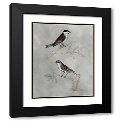 Silvered Aviary III Black Modern Wood Framed Art Print with Double Matting by McCavitt, Naomi