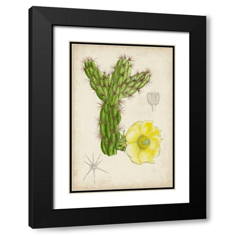 Antique Cactus I Black Modern Wood Framed Art Print with Double Matting by Curtis