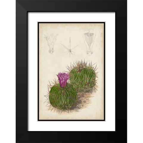 Antique Cactus II Black Modern Wood Framed Art Print with Double Matting by Curtis