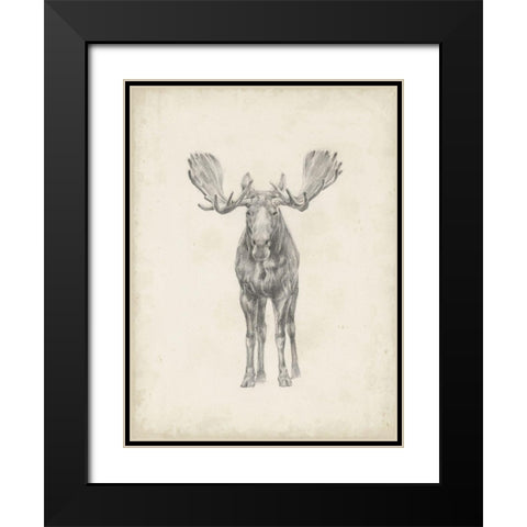 40x30 Custom Moose Study Black Modern Wood Framed Art Print with Double Matting by Harper, Ethan