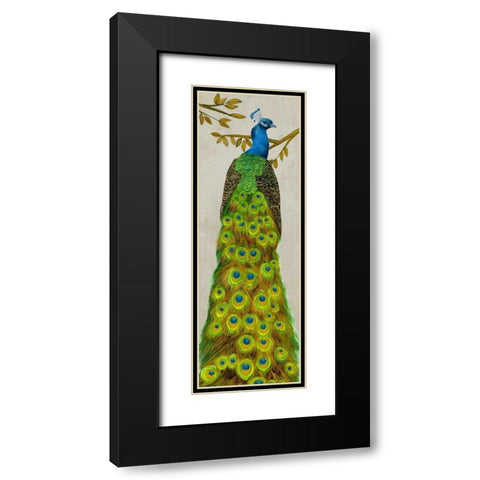 Vintage Peacock I Black Modern Wood Framed Art Print with Double Matting by Wang, Melissa