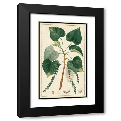 Turpin Poplar Tree  Black Modern Wood Framed Art Print with Double Matting by Turpin