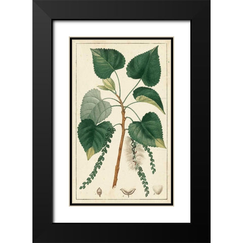 Turpin Poplar Tree  Black Modern Wood Framed Art Print with Double Matting by Turpin