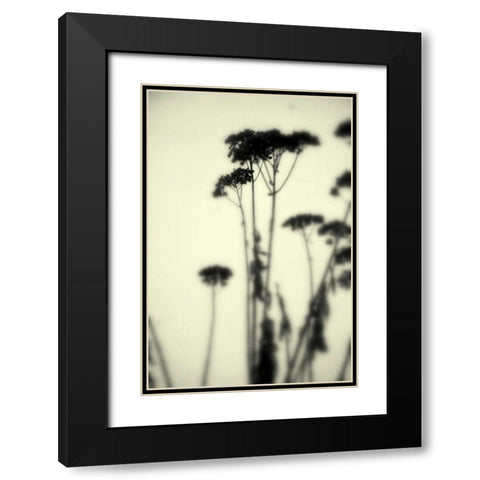 Photography/Landscape 156 Black Modern Wood Framed Art Print with Double Matting by Dag, Inc.