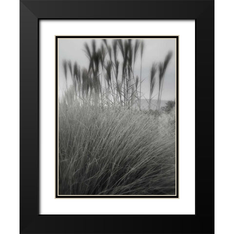 Photography/Landscape 180 Black Modern Wood Framed Art Print with Double Matting by Dag, Inc.
