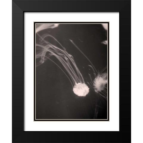 Underwater World 2 Black Modern Wood Framed Art Print with Double Matting by Dag, Inc.
