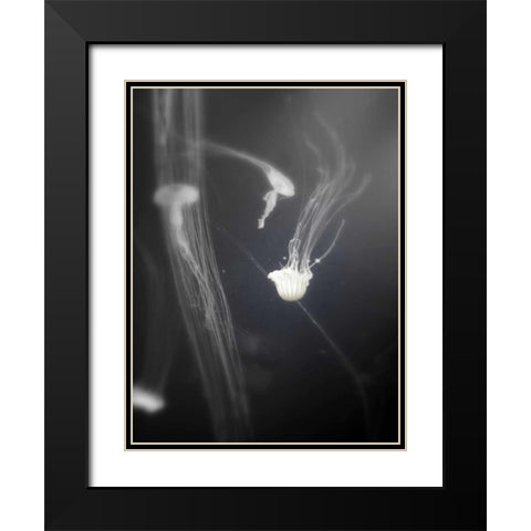 Underwater World 4 Black Modern Wood Framed Art Print with Double Matting by Dag, Inc.