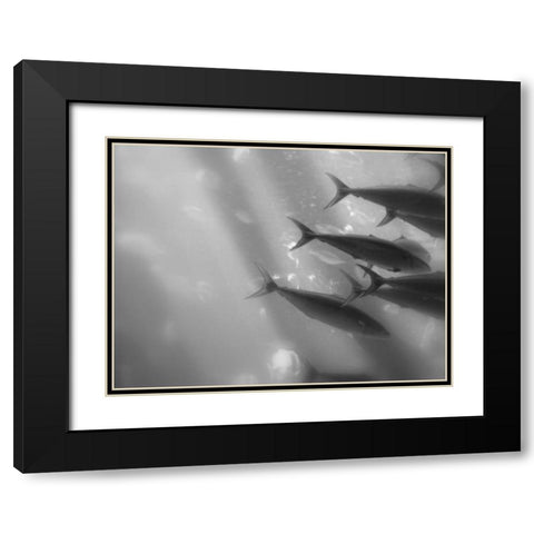 Underwater World 32 Black Modern Wood Framed Art Print with Double Matting by Dag, Inc.