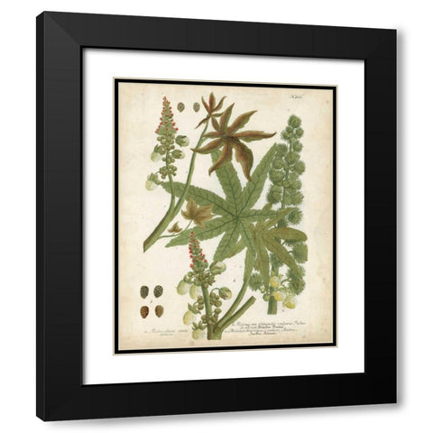 Weinmann Tropical Plants I Black Modern Wood Framed Art Print with Double Matting by Weinmann, Johann