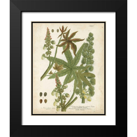 Weinmann Tropical Plants I Black Modern Wood Framed Art Print with Double Matting by Weinmann, Johann