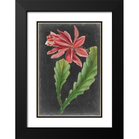 Dramatic Tropicals I Black Modern Wood Framed Art Print with Double Matting by Vision Studio