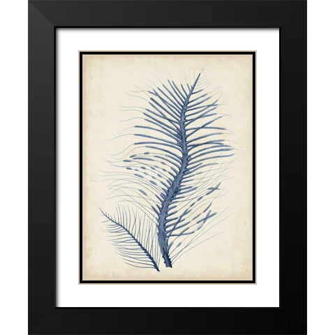 Indigo Coral V Black Modern Wood Framed Art Print with Double Matting by Vision Studio