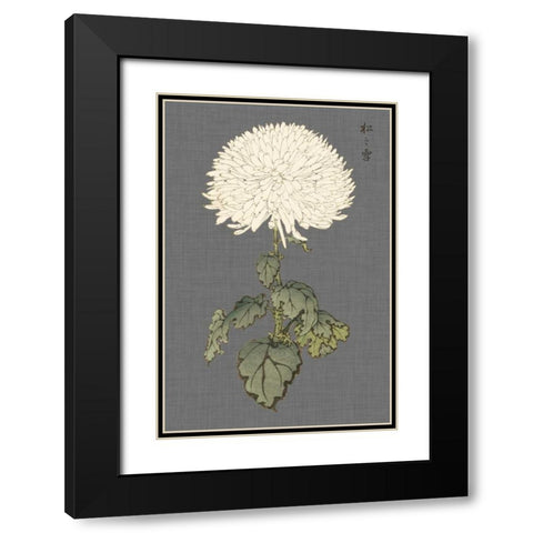Dramatic Ivory Mums I Black Modern Wood Framed Art Print with Double Matting by Vision Studio