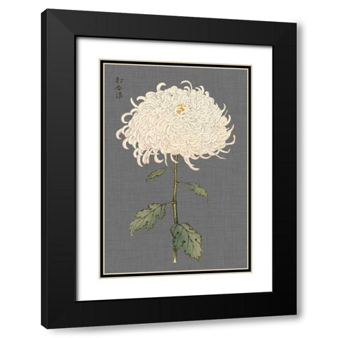 Dramatic Ivory Mums II Black Modern Wood Framed Art Print with Double Matting by Vision Studio