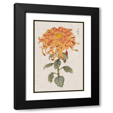 Vibrant Mums I Black Modern Wood Framed Art Print with Double Matting by Vision Studio