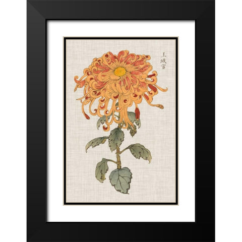 Vibrant Mums I Black Modern Wood Framed Art Print with Double Matting by Vision Studio