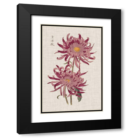 Vibrant Mums II Black Modern Wood Framed Art Print with Double Matting by Vision Studio