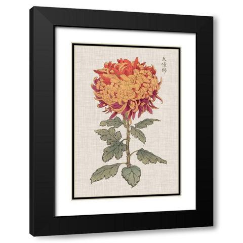 Vibrant Mums III Black Modern Wood Framed Art Print with Double Matting by Vision Studio