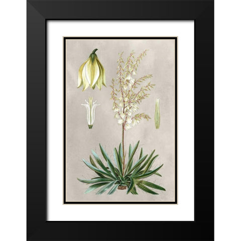 Tropical Varieties I Black Modern Wood Framed Art Print with Double Matting by Bessa, Pancrace