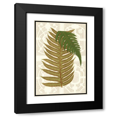 Garden Ferns II Black Modern Wood Framed Art Print with Double Matting by Vision Studio