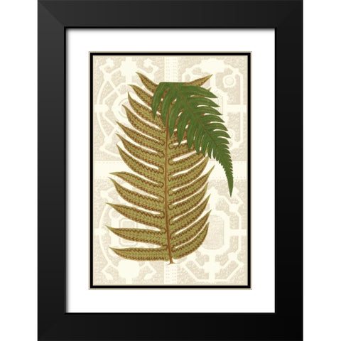 Garden Ferns II Black Modern Wood Framed Art Print with Double Matting by Vision Studio