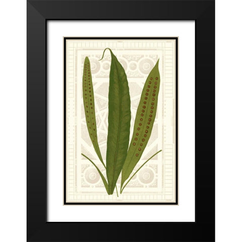 Garden Ferns VI Black Modern Wood Framed Art Print with Double Matting by Vision Studio