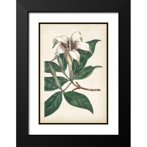 Ivory Garden I Black Modern Wood Framed Art Print with Double Matting by Curtis