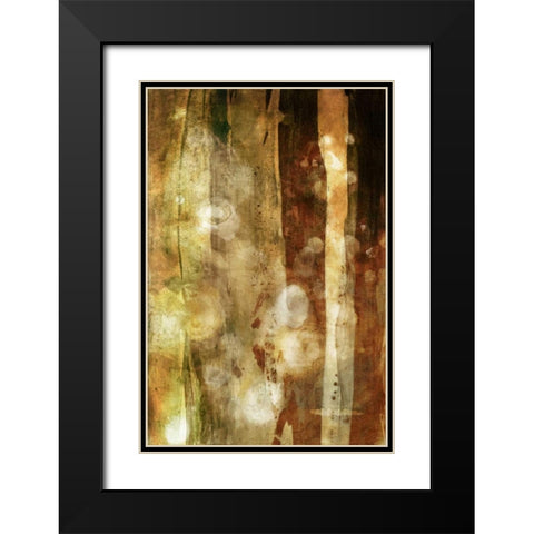 Golden Glow II Black Modern Wood Framed Art Print with Double Matting by Jasper, Sisa