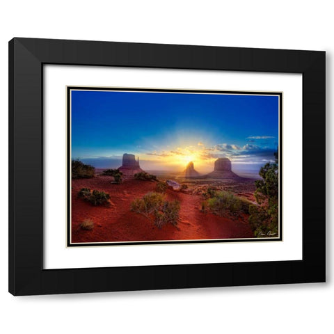 Pink Morning Glory I Black Modern Wood Framed Art Print with Double Matting by Drost, David