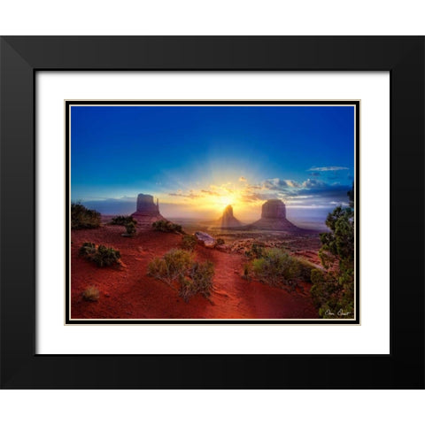 Pink Morning Glory I Black Modern Wood Framed Art Print with Double Matting by Drost, David