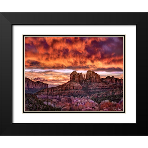 Pink Morning Glory IV Black Modern Wood Framed Art Print with Double Matting by Drost, David