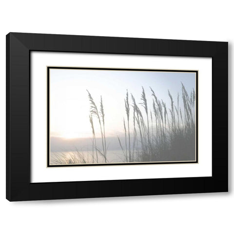 Morning Whisper II Black Modern Wood Framed Art Print with Double Matting by Chandler, Sharon