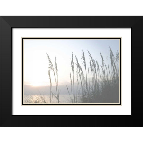 Morning Whisper II Black Modern Wood Framed Art Print with Double Matting by Chandler, Sharon